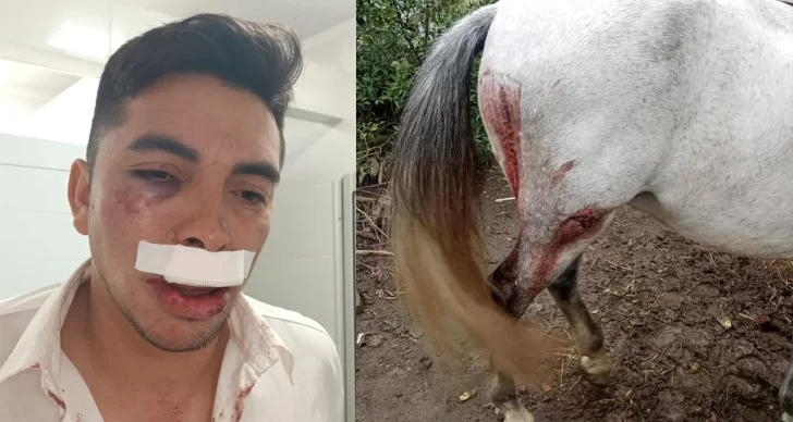 Un vehículo atropelló a un hombre que circulaba en caballo