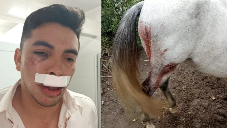 Un vehículo atropelló a un hombre que circulaba en caballo