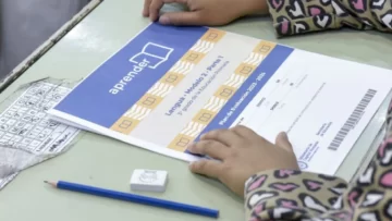 El 55% de los chicos de tercer grado no alcanzó el nivel de lectura esperable para su edad