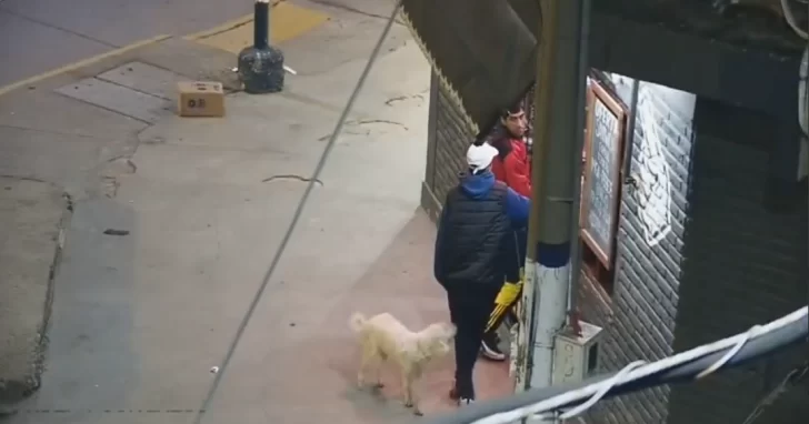 Dos sujetos atrapados por cámaras robando una moto fueron detenidos Dos sujetos atrapados por cámaras robando una moto fueron detenidos