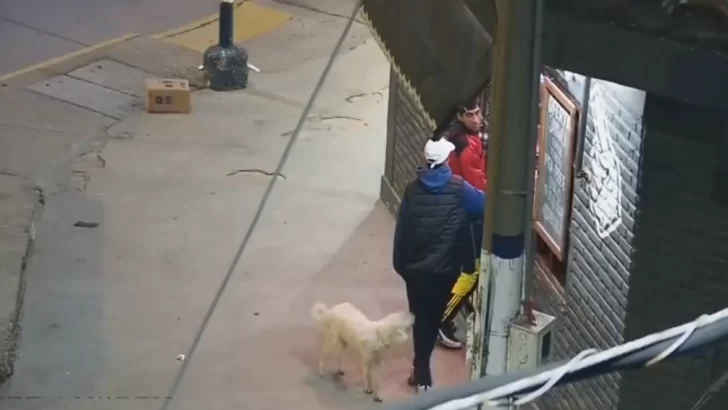 Dos sujetos atrapados por cámaras robando una moto fueron detenidos