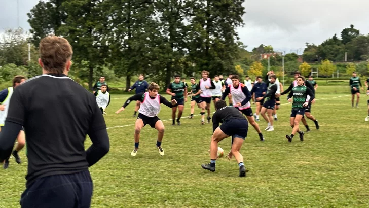 Tarucas volvió al trabajo con la mirada puesta en Yacaré
