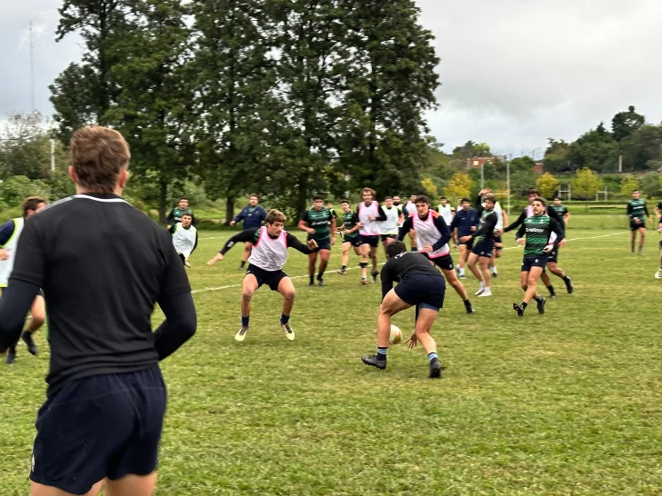 Tarucas volvió al trabajo con la mirada puesta en Yacaré