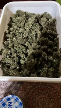 cd956d1e-d8e6-41b6-a1f2-d0688f9cb859-410x728