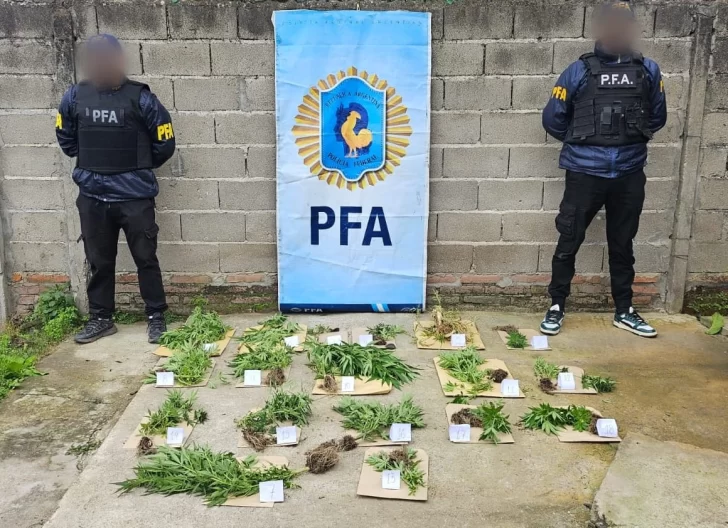 La Policía Federal Argentina secuestró más de 3 kilogramos de droga en la provincia de Tucumán La Policía Federal Argentina secuestró más de 3 kilogramos de droga en la provincia de Tucumán