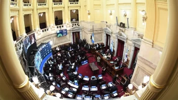 El Senado rechazó el proyecto de ficha limpia, que buscaba proscribir a políticos condenados