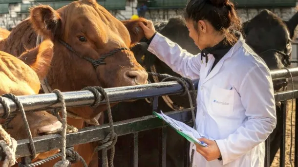 El Gobierno libera la importación de productos veterinarios para reducir costos y agilizar trámites