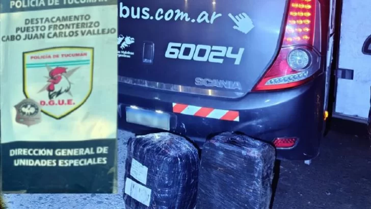 En un control fronterizo incautaron 50 kilos de hojas de coca