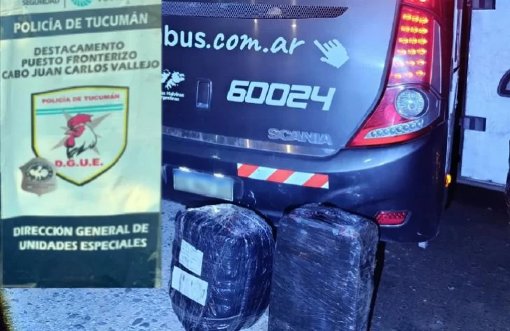 En un control fronterizo incautaron 50 kilos de hojas de coca