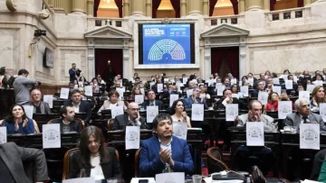 Con holgada mayoría de la oposición, la Cámara de Diputados aprobó la ley de emergencia en discapacidad