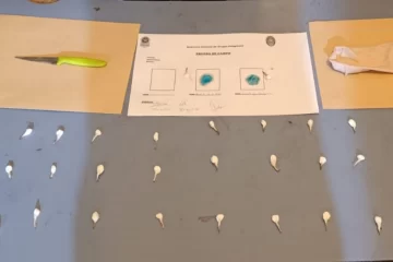 250710091835_42913-728x485