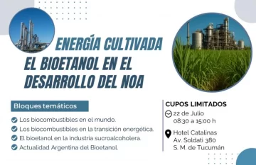 250718101317_81615-728x472