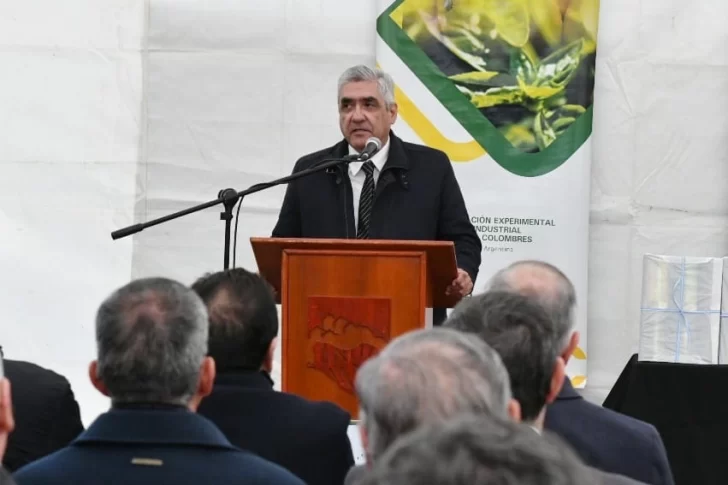 250725125135_80015-728x485