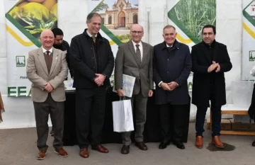 250725125912_71295-728x472