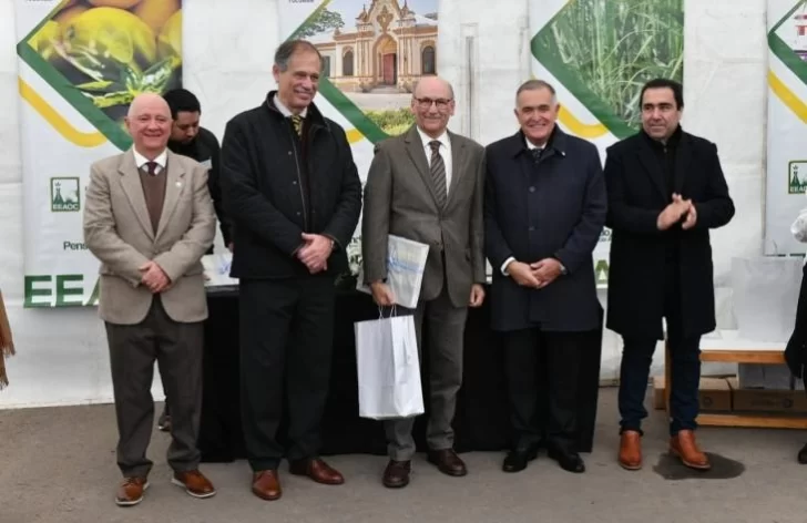 250725125912_71295-728x472