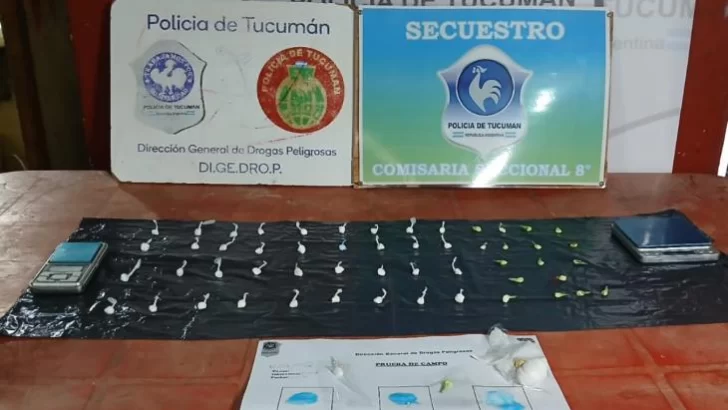 Realizaron un allanamiento por un caso de hurto y terminaron secuestrando drogas
