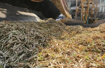 En Tucumán, la molienda de caña supera un 42% de avance