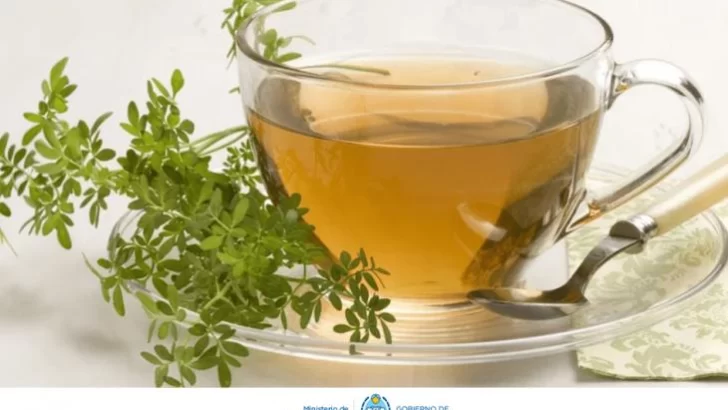Té de Ruda: Recomendaciones y precauciones