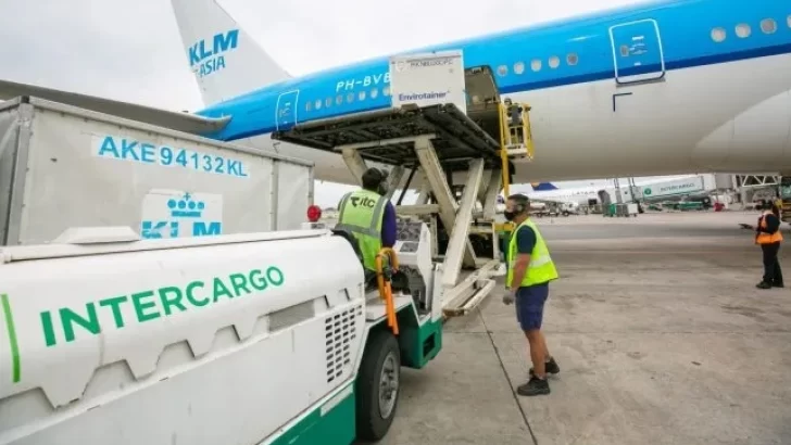 Intercargo despidió a dos empleados por maltratar equipaje en Aeroparque