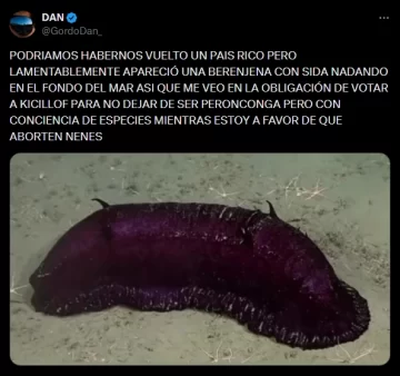 Captura-de-pantalla_31-7-2025_18418_x.com_