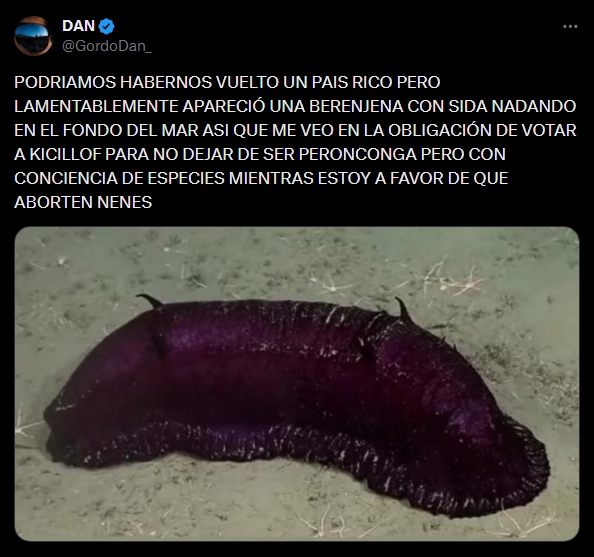 Captura-de-pantalla_31-7-2025_18418_x.com_