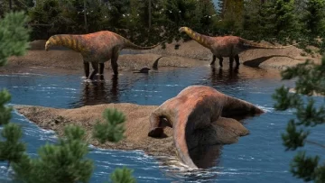 Descubren una nueva especie de dinosaurio que vivió hace 95 millones de años en la Patagonia