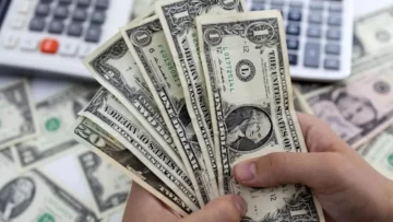 El Tesoro volvió a vender dólares y aportó casi toda la oferta en el mercado de cambios