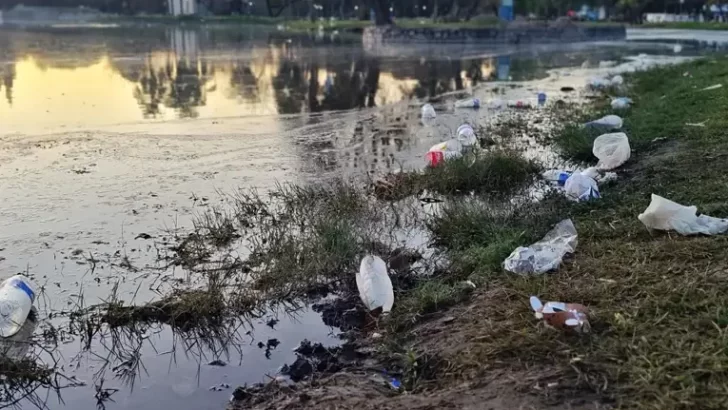 Tiraron toneladas de basura en el Parque 9 de Julio durante el Día del Amigo