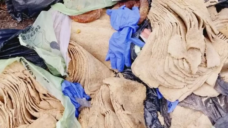 1200x675_detienen-tucumano-santiago-estero-vender-milanesas-hechas-papel-higienico-1098035-093156-728x410