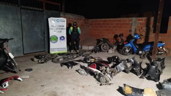 Personal policial desmanteló un desarmadero ilegal