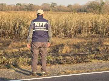 WhatsApp-Image-2025-08-06-at-18.55.03-728x546