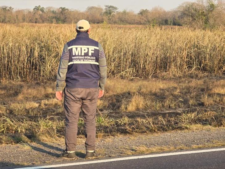 WhatsApp-Image-2025-08-06-at-18.55.03-728x546