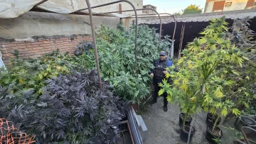 WhatsApp-Image-2025-08-07-at-16.46.05-728x410