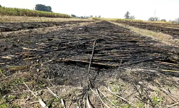 WhatsApp-Image-2025-08-15-at-15.05.09-728x441