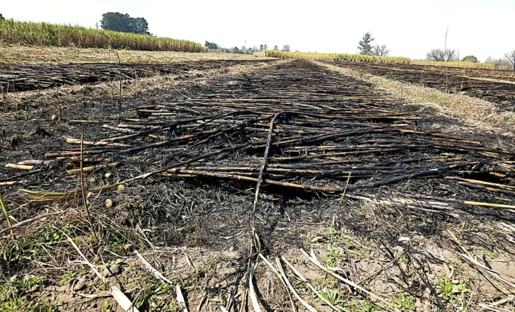 WhatsApp-Image-2025-08-15-at-15.05.09-728x441