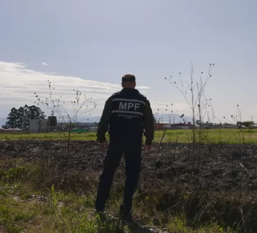 WhatsApp-Image-2025-08-23-at-17.40.55-3-728x662