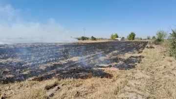 Incendio de restos de caña afectó tres hectáreas de terrenos que están a la venta