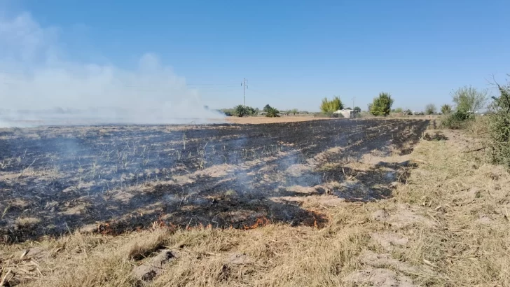Incendio de restos de caña afectó tres hectáreas de terrenos que están a la venta