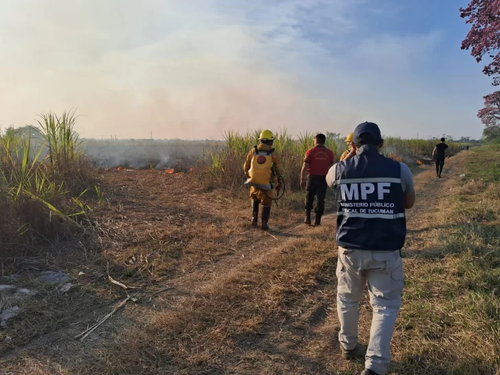 Incendio de pastizales y cañaverales afectó la circulación en la ruta Juan Domingo Perón