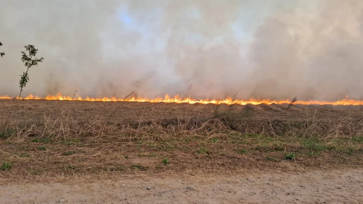Incendio en cañaverales estuvo a punto de alcanzar viviendas