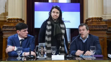 Polémica por los dichos de una senadora cordobesa: “No creo que los niños argentinos tengan derecho a ser curados en el Garrahan”
