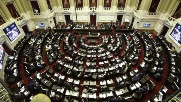 Diputados aprobó el rechazo al veto a la emergencia en Discapacidad