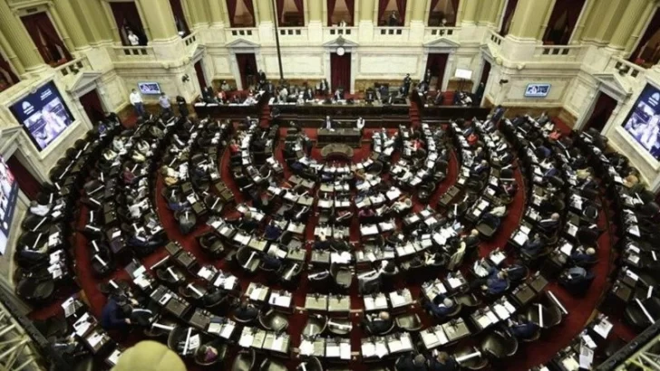 Diputados aprobó el rechazo al veto a la emergencia en Discapacidad