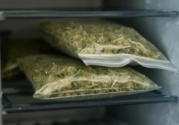 Yerba Buena: detuvieron a un policía con un kilo de marihuana y su padre, funcionario provincial, renunció