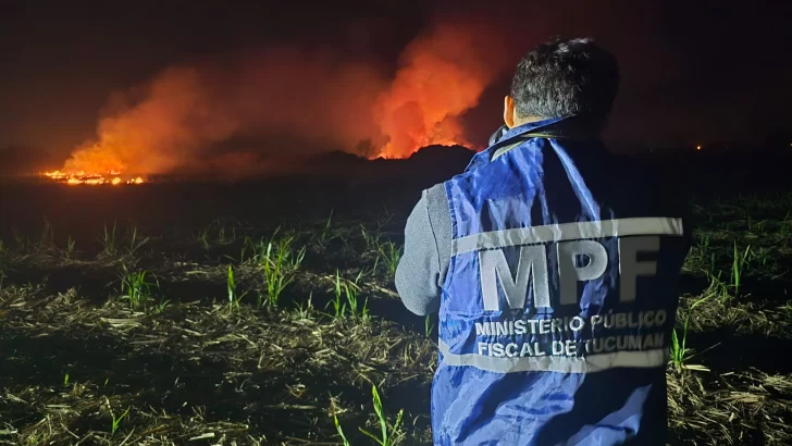 La fiscal Rivadeneira advirtió: quemar caña y pastizales es un delito