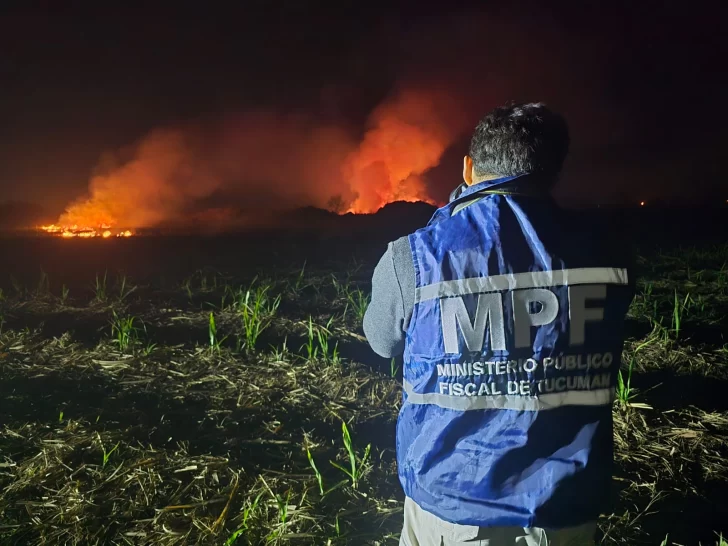 La fiscal Rivadeneira advirtió: quemar caña y pastizales es un delito