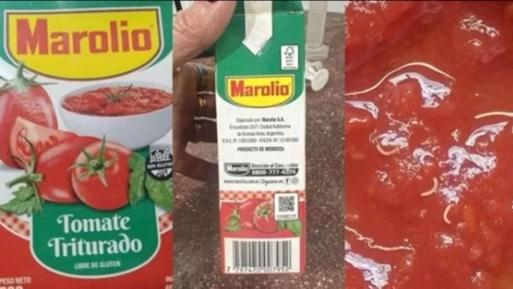 ANMAT aclaró que el tomate triturado Marolio no tiene gusanos: eran brotes de semilla y no hay riesgo
