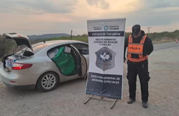 Incautan 25 kilos de hojas de coca y mercadería ilegal