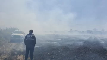 El MPF interviene en un incendio de cañaverales que puso en riesgo el tendido eléctrico