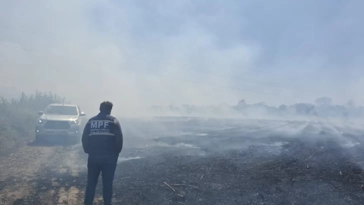 El MPF interviene en un incendio de cañaverales que puso en riesgo el tendido eléctrico